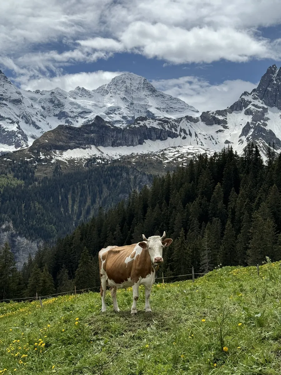 Day 6, 13:12, Murren village