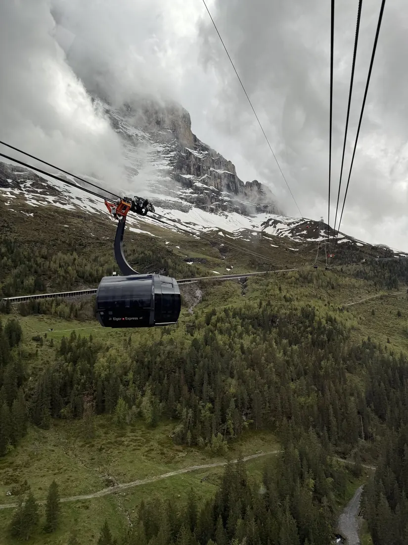 A gondola cabin on its cable rising toward cloud-wrapped peaks above a pine forest
